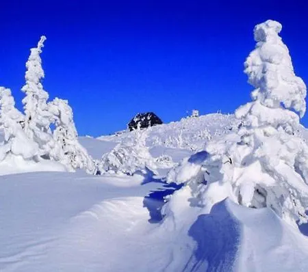 Jola Privatunterkunft *